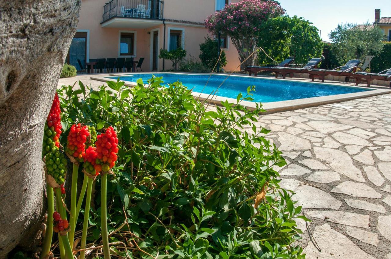 House /Villa Maja Ližnjan Kültér fotó